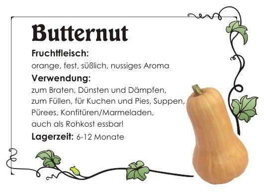 Butternut