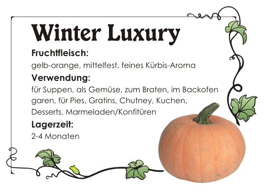 WinterLuxury